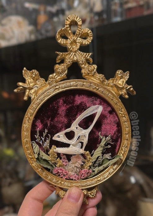 #23 Mini Chameleon Skull Open Frame