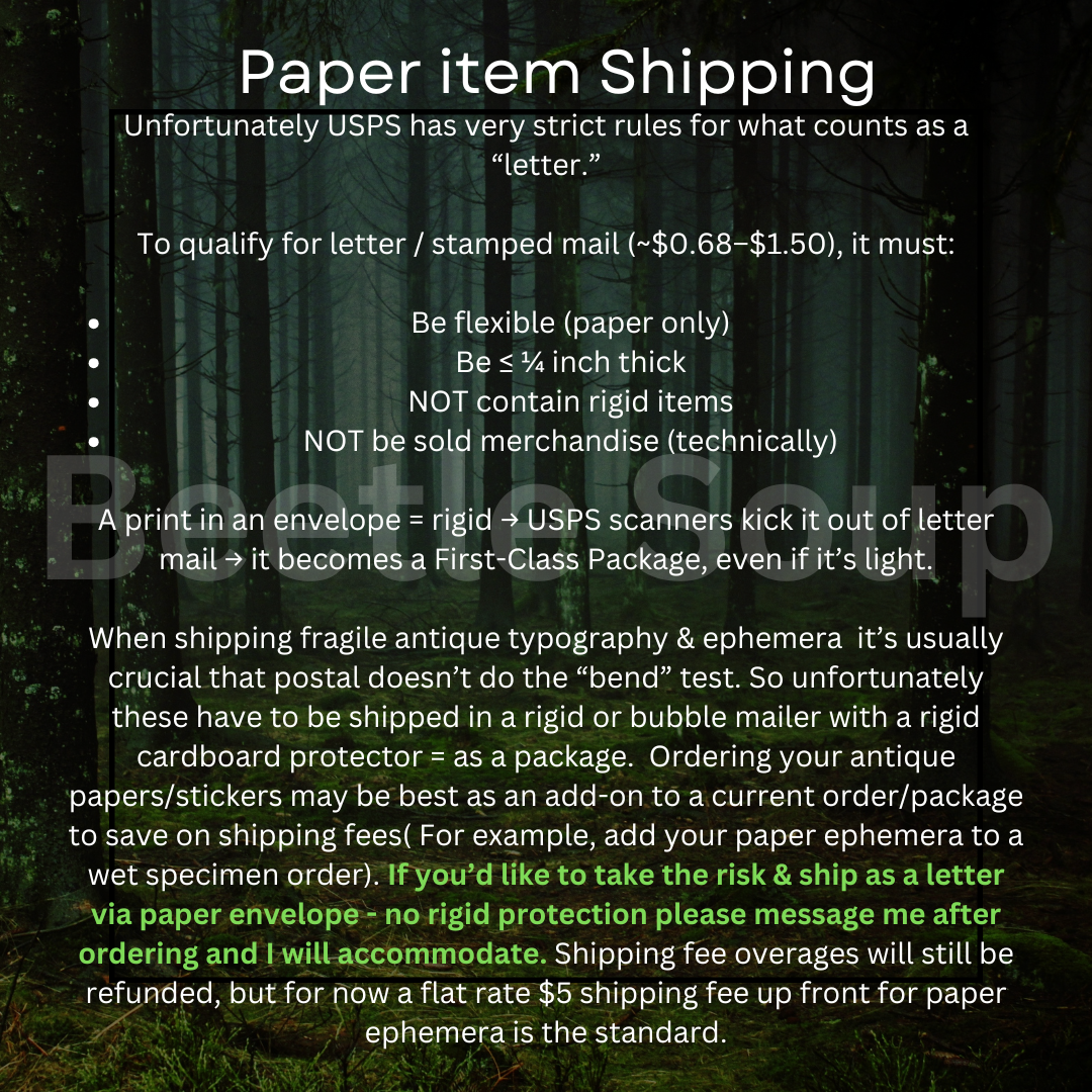 REAL dated 1928 Antique Cemetery Plot receipts