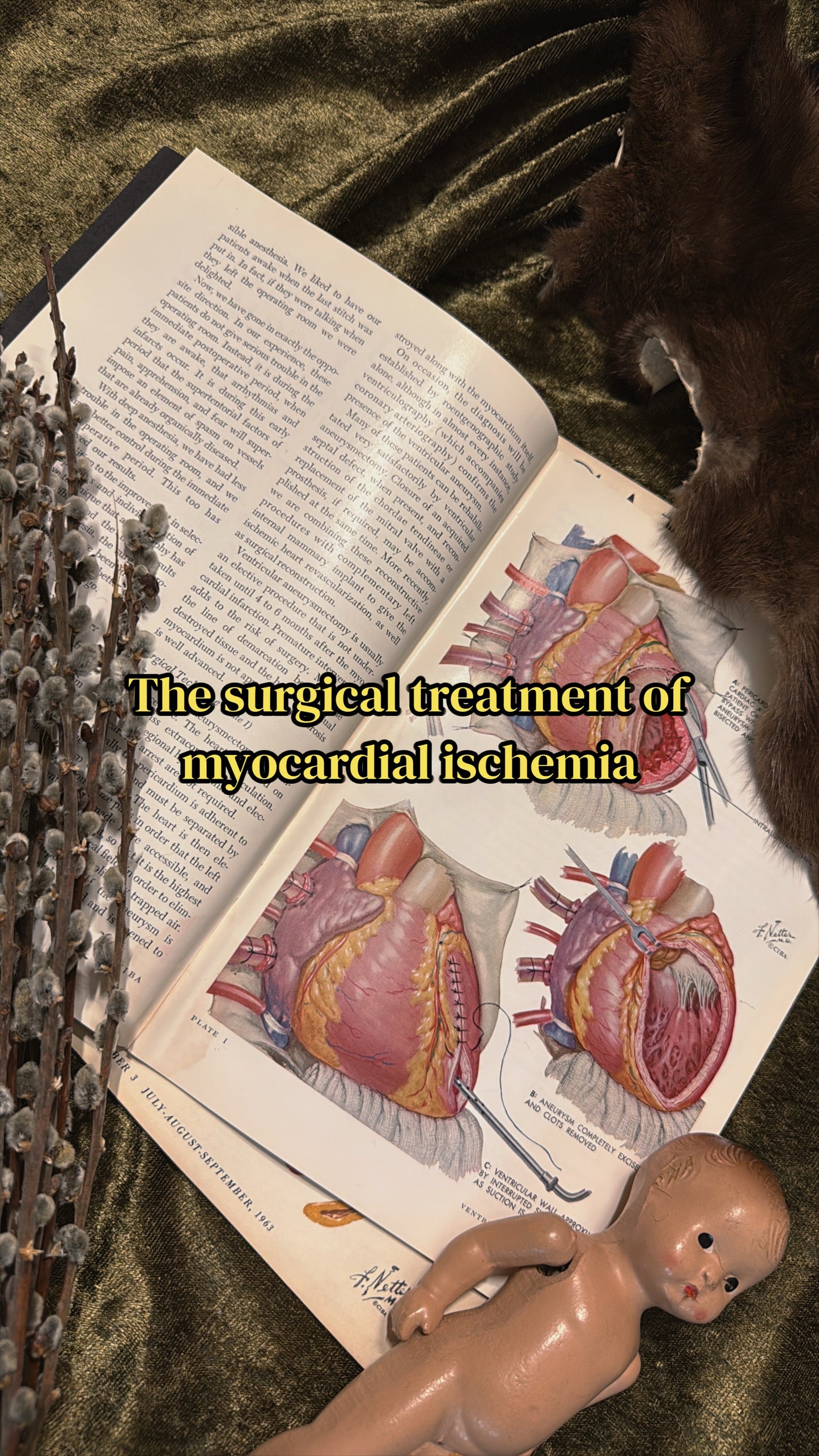 #74 1960s Vintage Clinical Symposia books