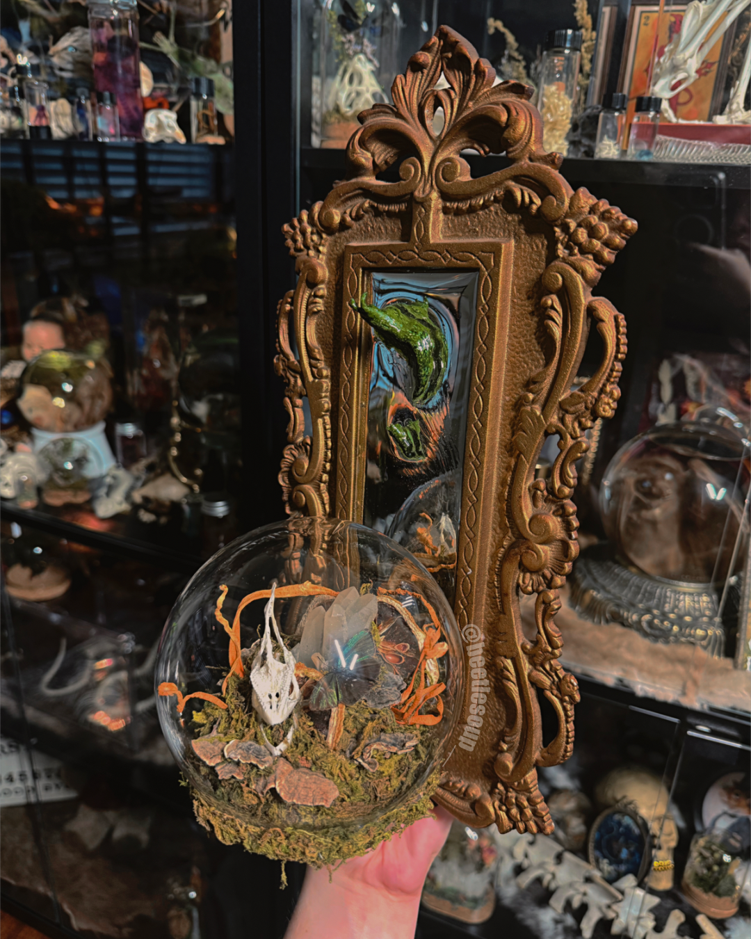 #6 Chameleon Skull & Slug Mirror Wall Sconce