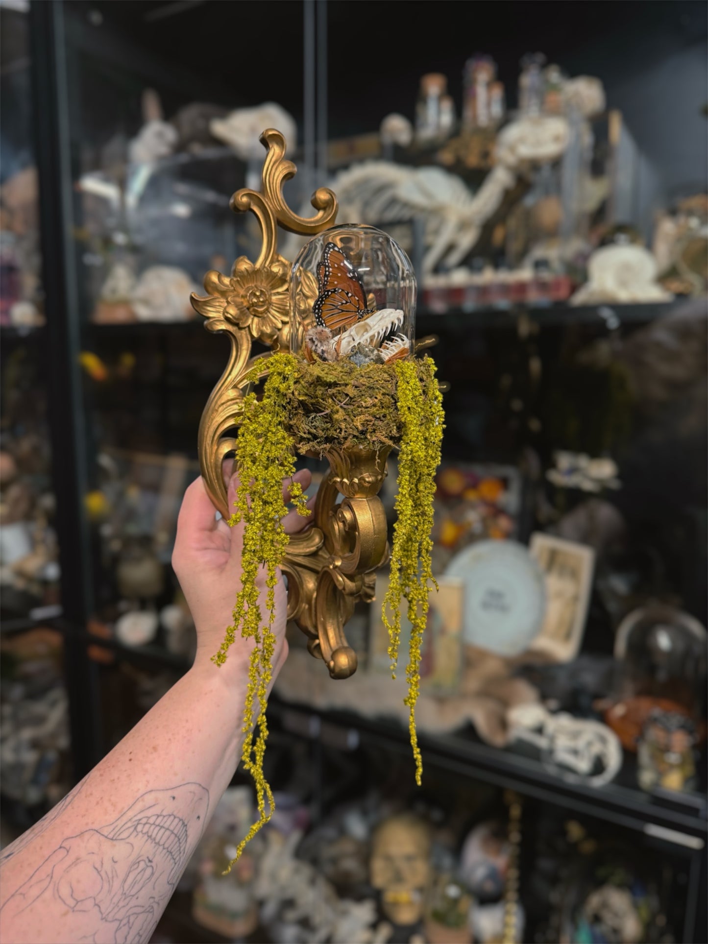 #5 Python Skull Wall Sconce