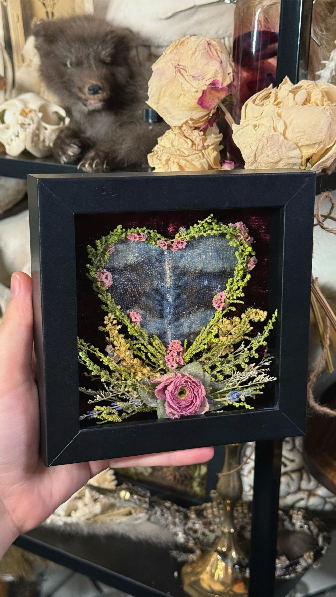 #27 Preserved Chameleon Hide 5x5