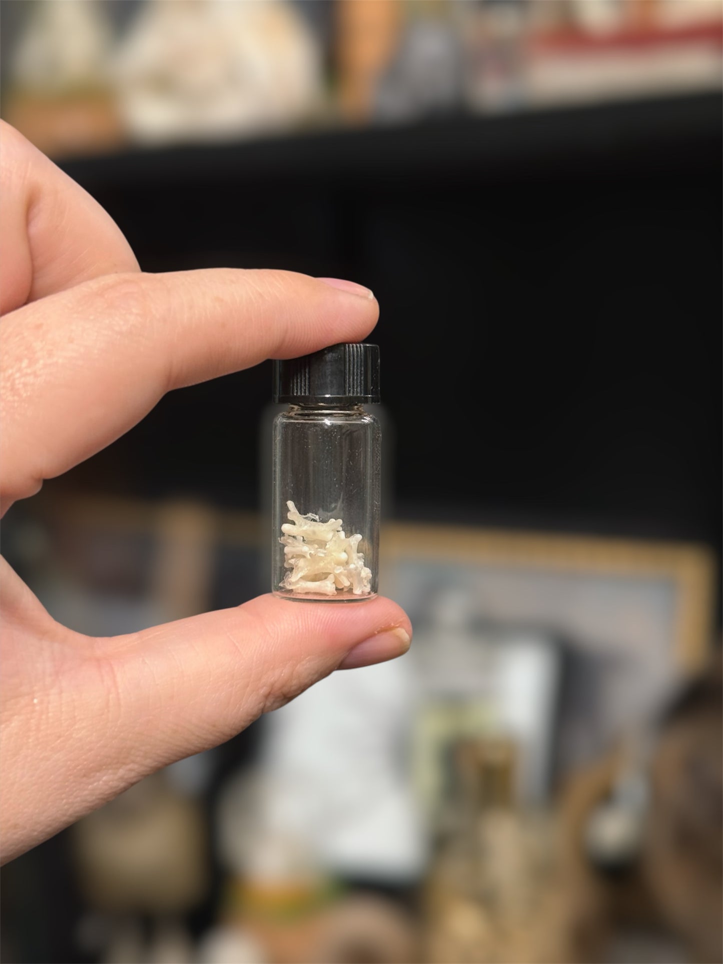 #36 Mini Bearded Dragon Bone vial