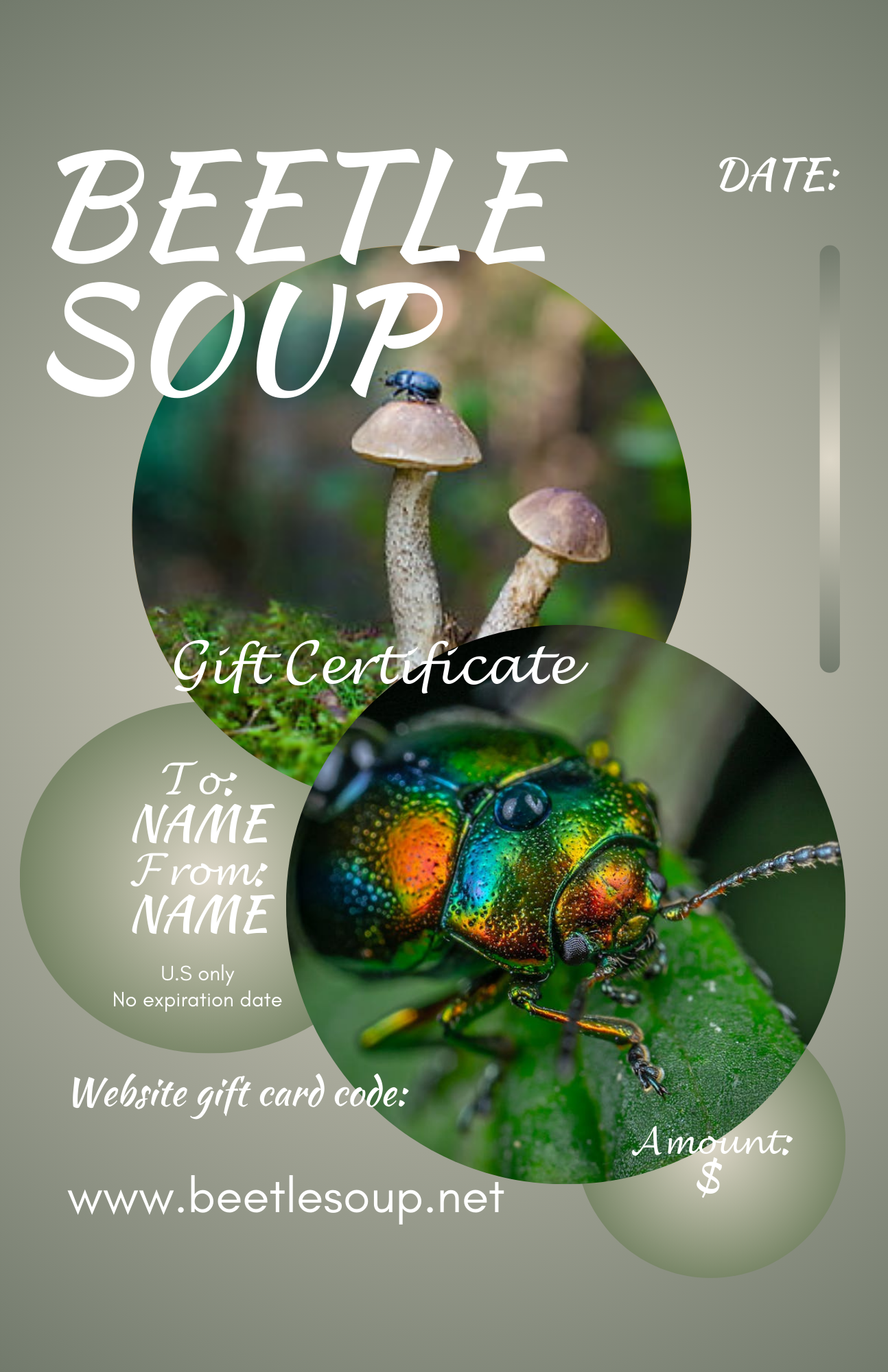 ๐๐ฒ๐ฏ๐ฝ ๐๐ฎ๐ป๐ฝ๐ฒ๐ฏ๐ฒ๐ฌ๐ช๐ฝ๐ฎ!