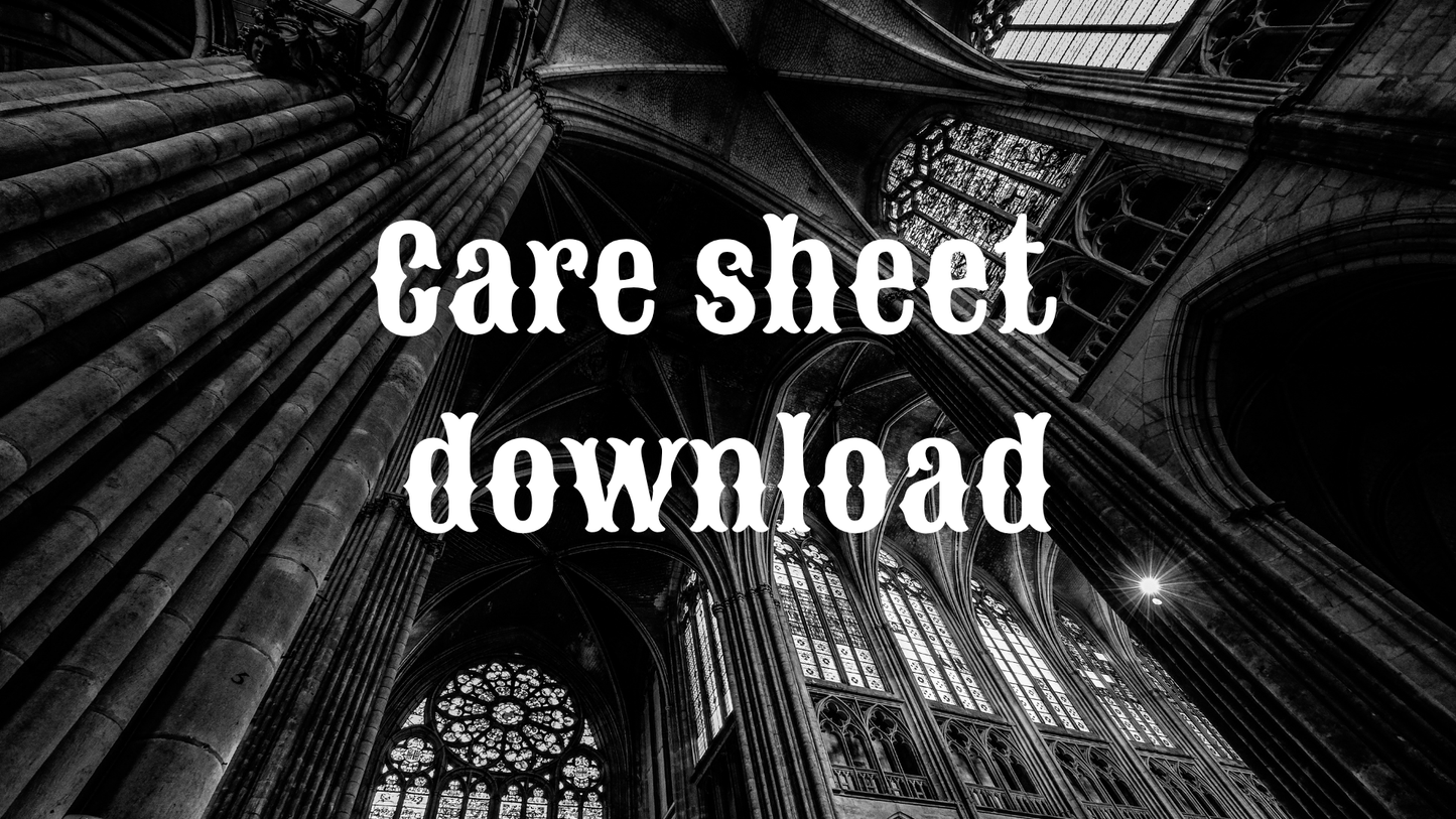 Downloadable Care sheet