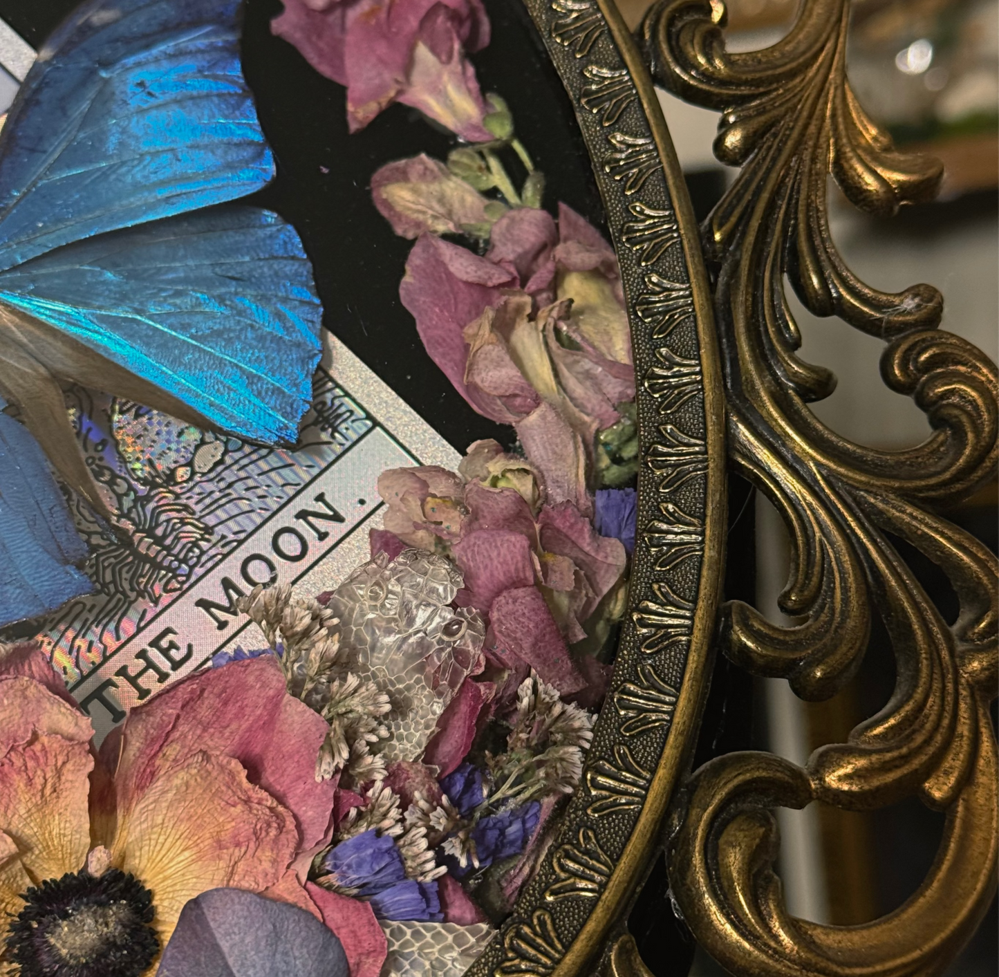 #12 Snake head shed & Tarot Moon 10x13