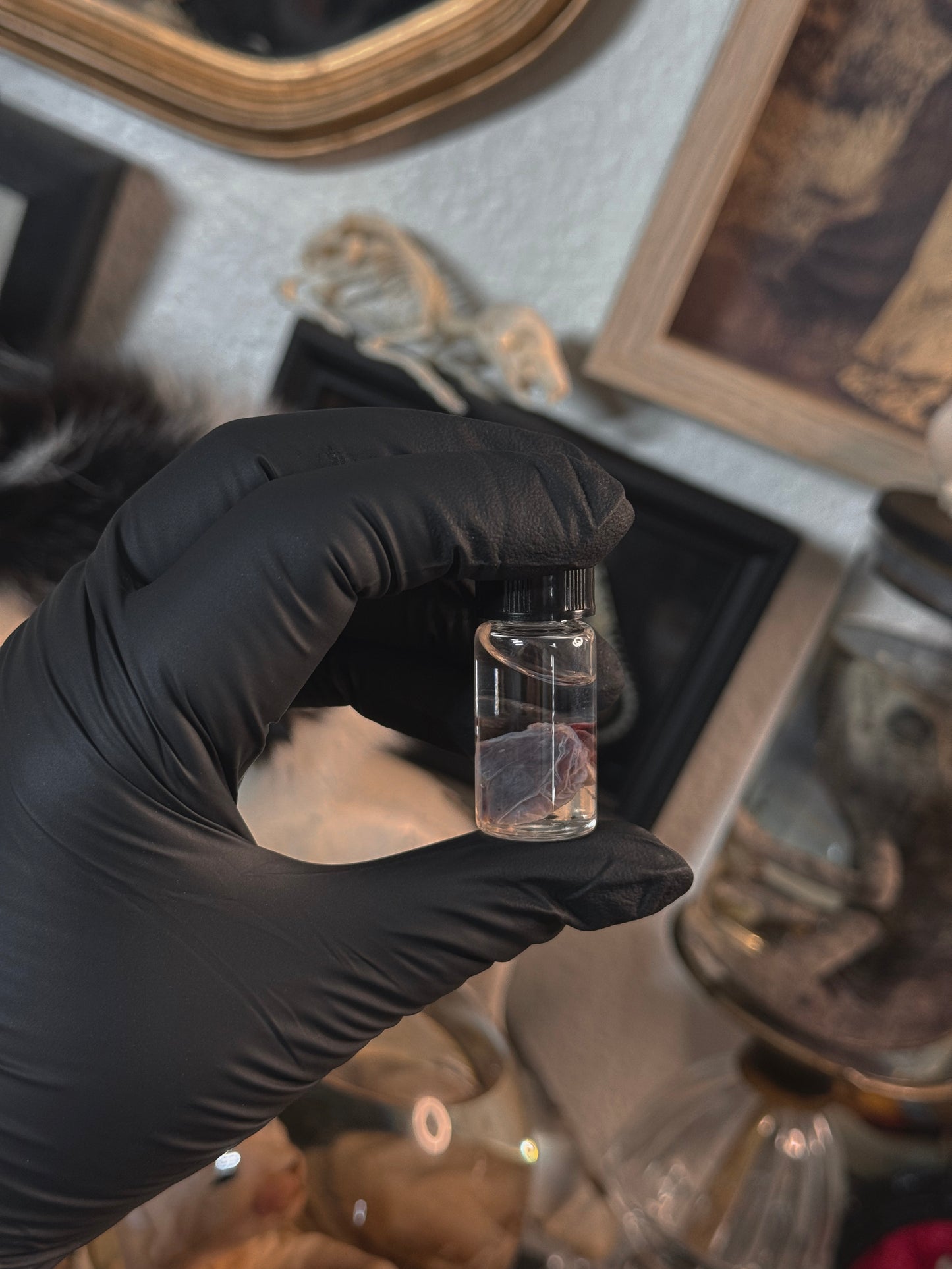 #15 Chameleon Heart/Eyes Wet Specimen