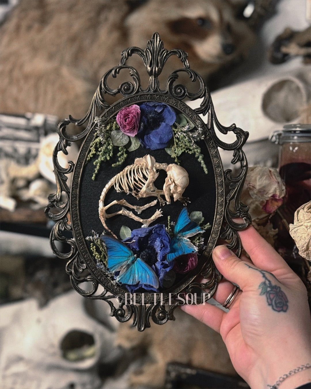 #60 Malinois Puppy Skeleton frame with butterflies