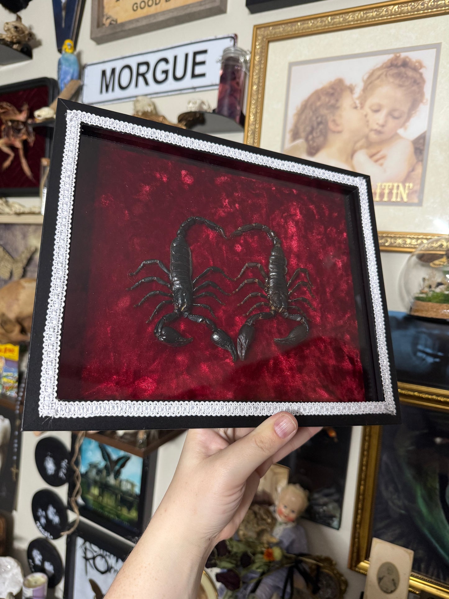 Valentines Collection