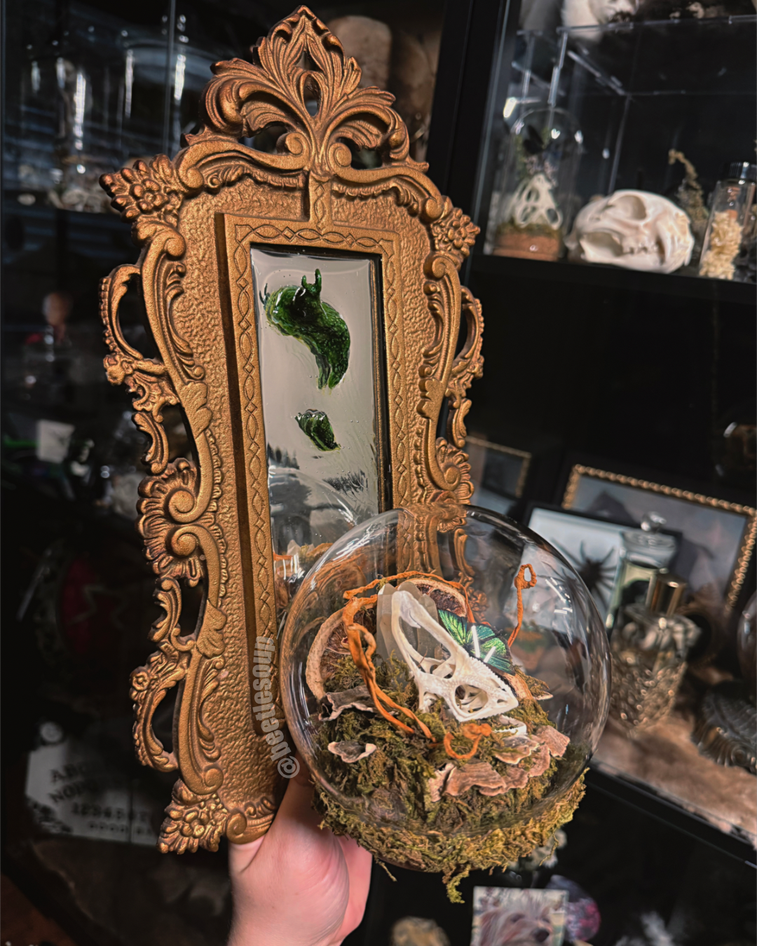 #6 Chameleon Skull & Slug Mirror Wall Sconce