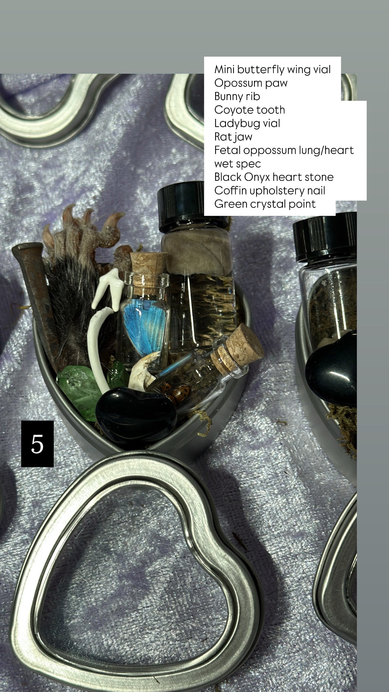 Valentines Collection MINI ODDITY HEART TIN, some w/ WET SPECIMEN