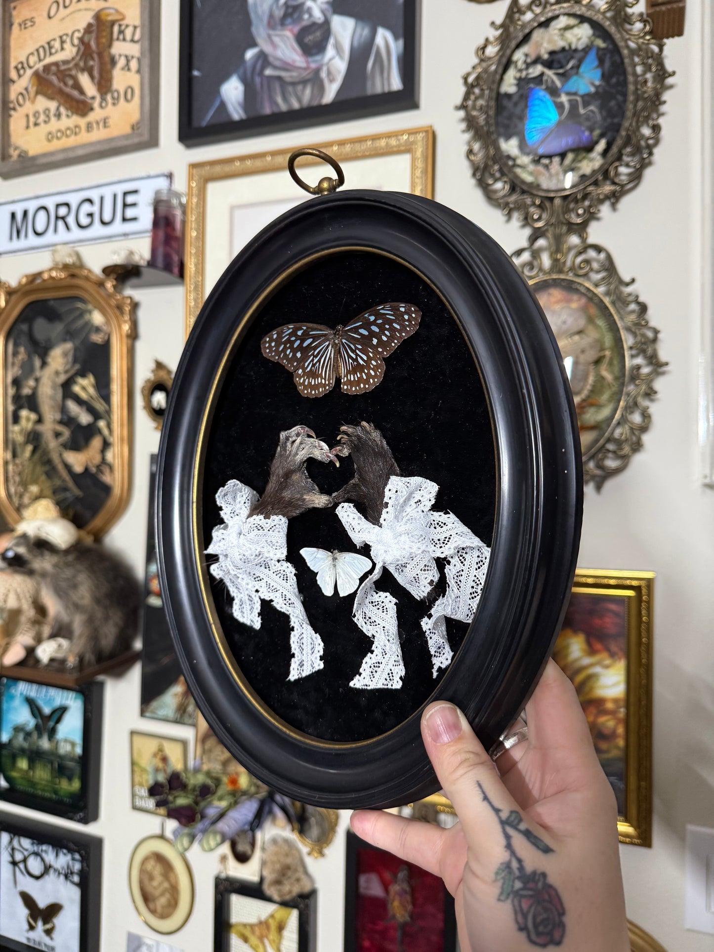 Valentines Collection Opossum paws (Read Description)