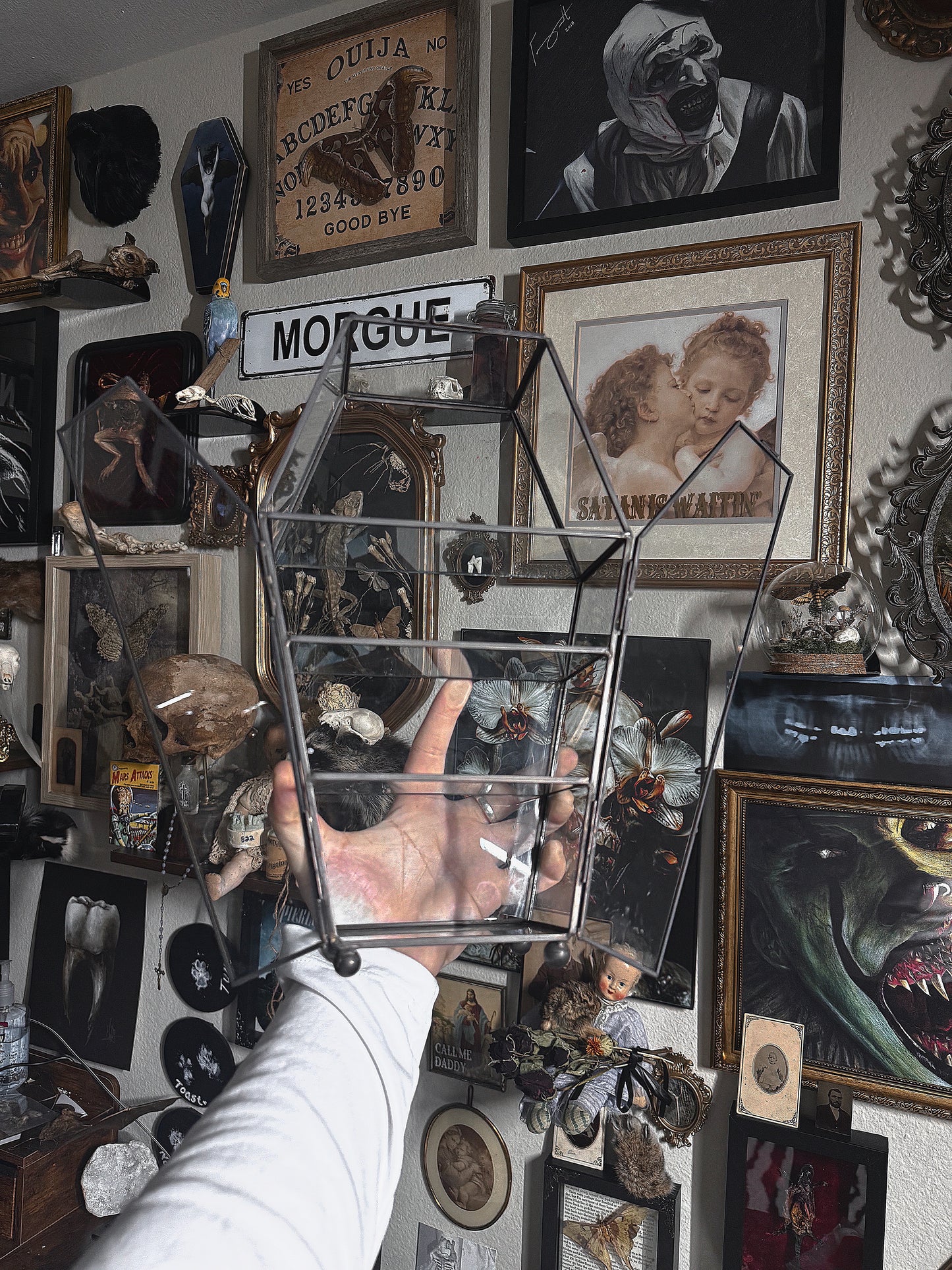 TRINKET SHELF GLASS COFFIN SHELVES