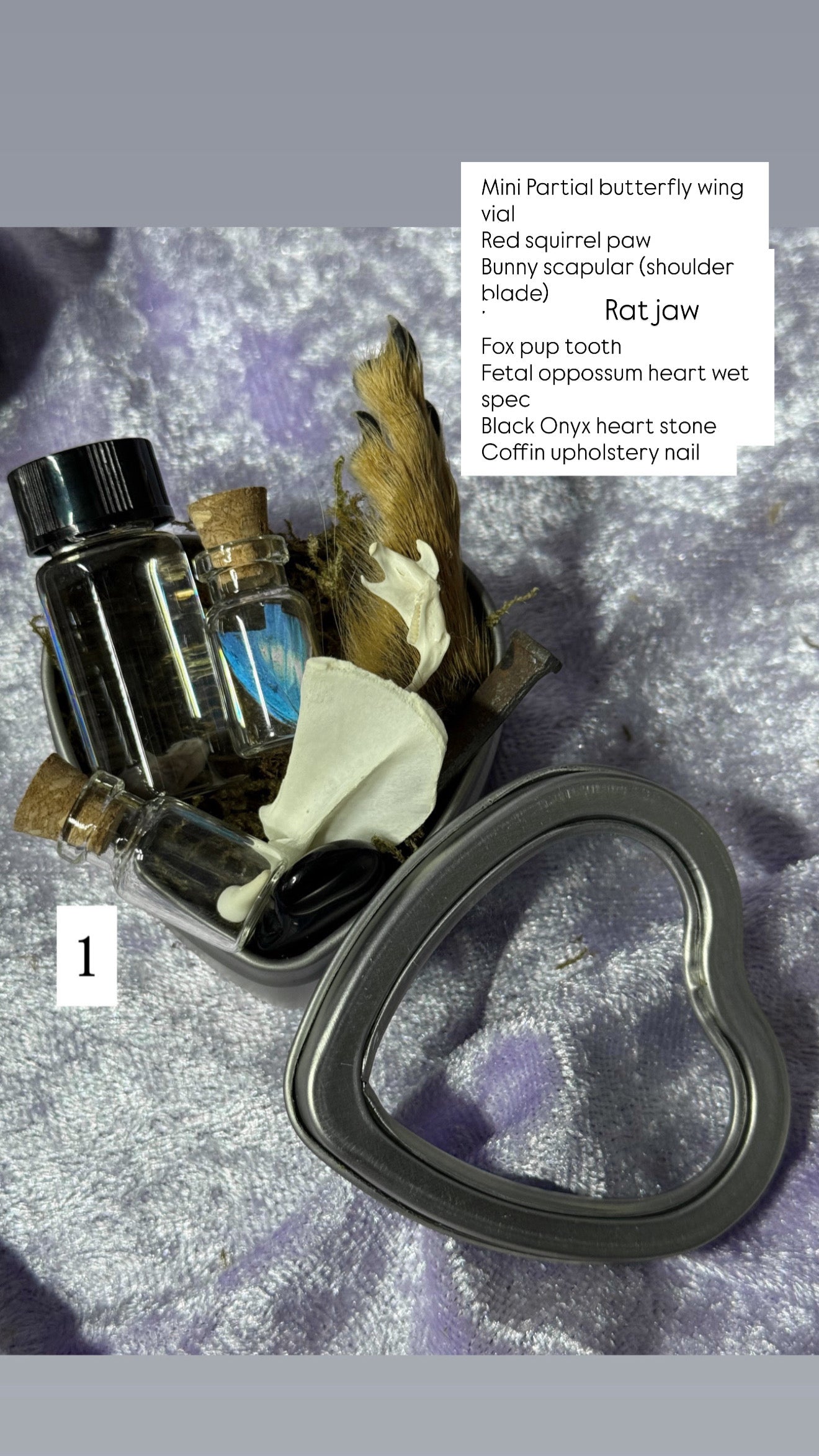 Valentines Collection MINI ODDITY HEART TIN, some w/ WET SPECIMEN