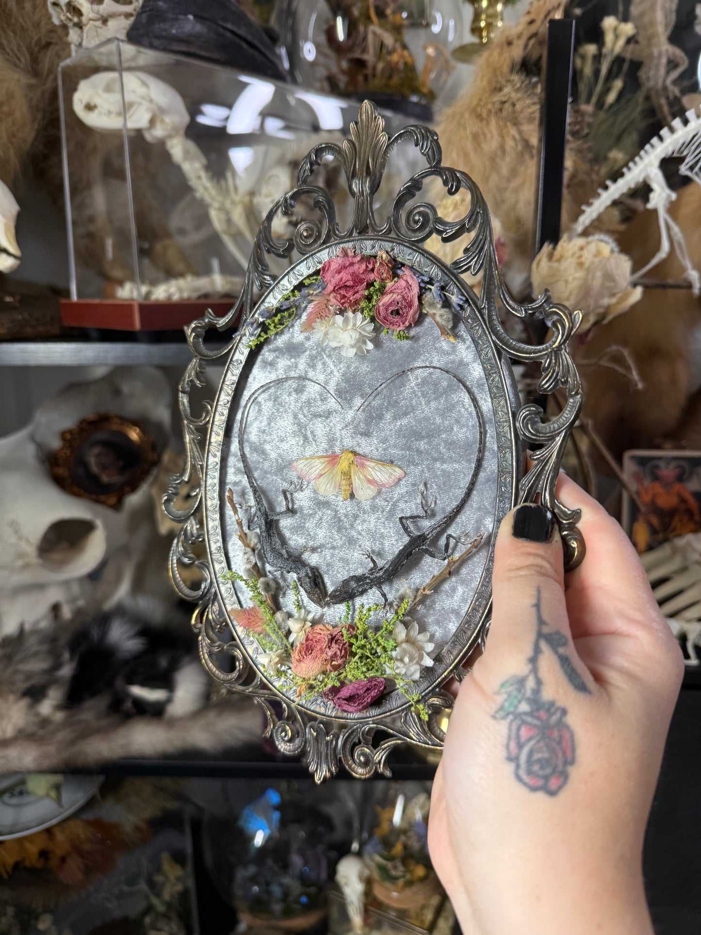 #17 Mummified Heart shaped lizards 7x10