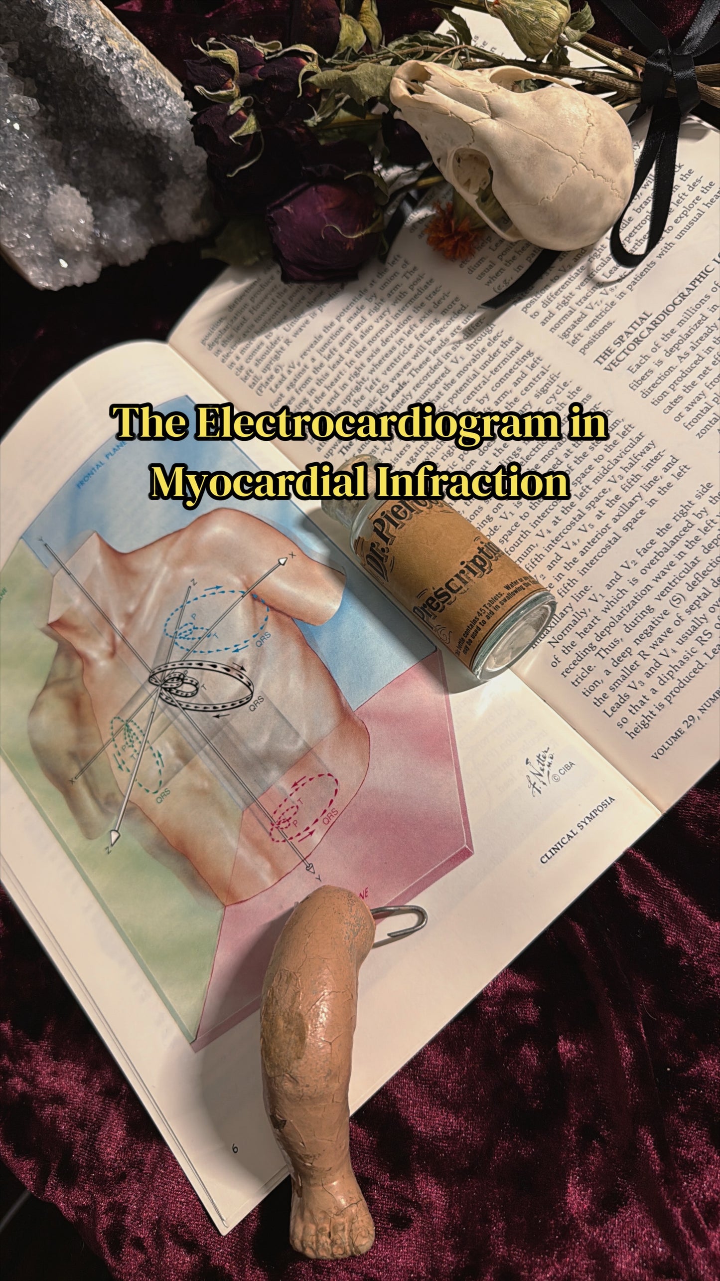 #85 ONE LEFT! 1970s Vintage Clinical Symposia books (set option)