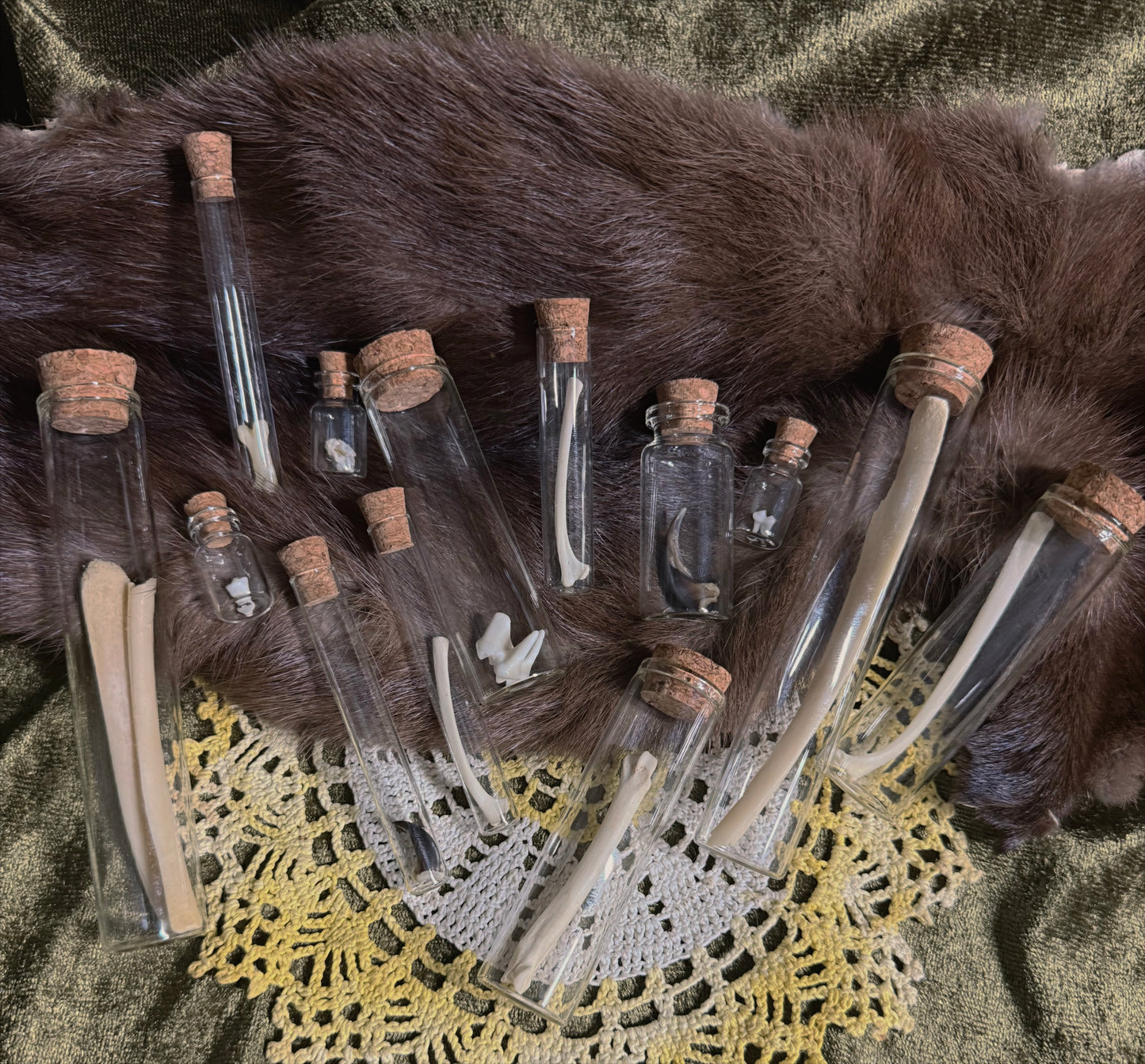 Surprise Bone & Curiosity vials Lot of 5 vials