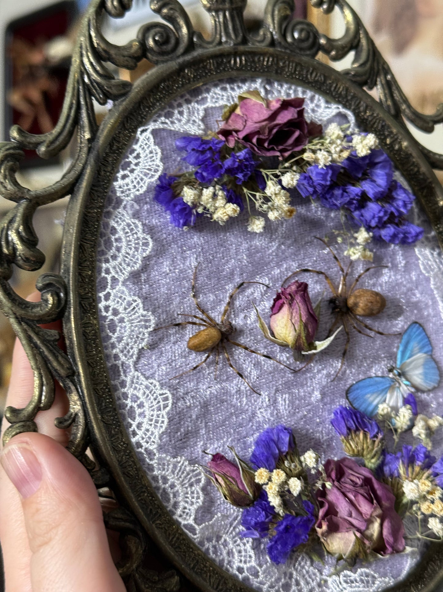 Valentines Collection Spider heart