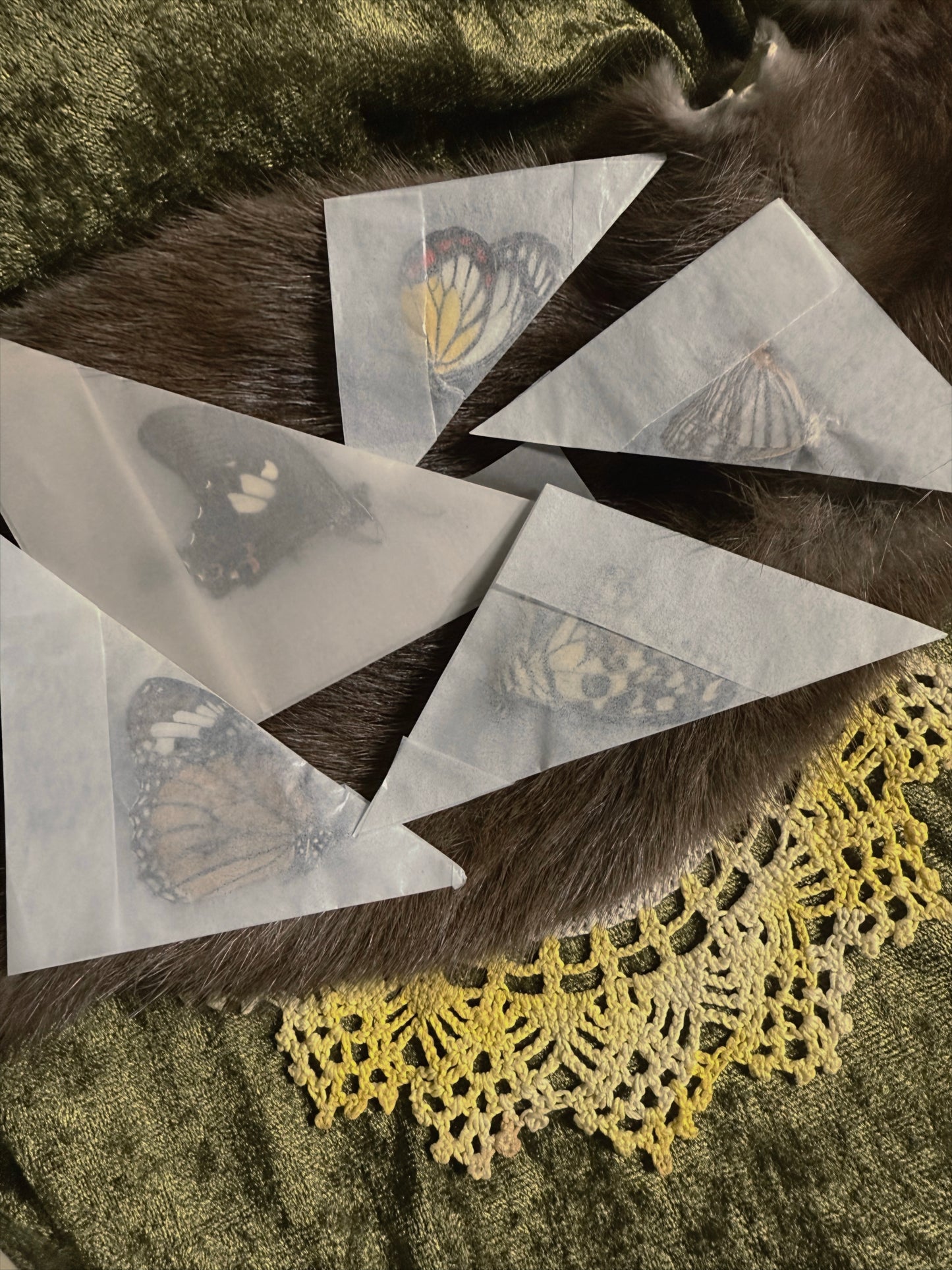 Surprise Butterfly Lot (5pcs)