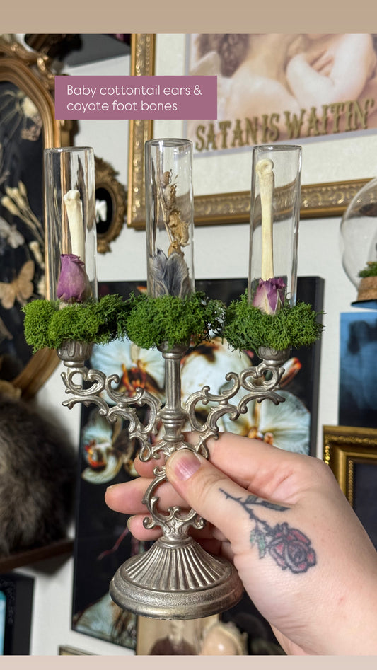 Valentines Collection Candelabras