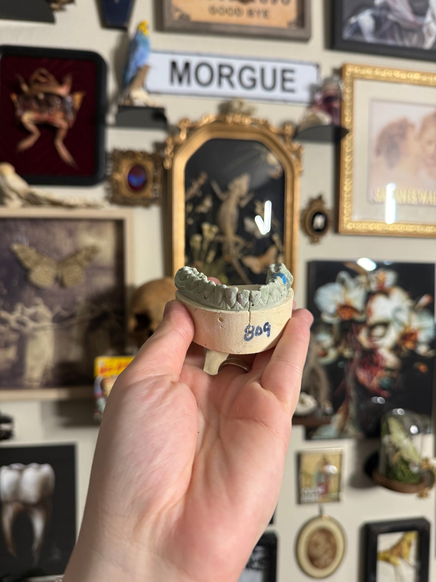 #79 1850s- Late 1900s Dental Molds