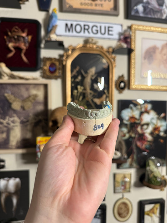 #79 1850s- Late 1900s Dental Molds