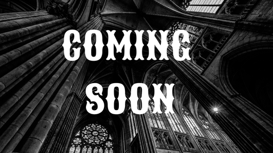 DIY Insect Terrarium kit (COMING SOON!)