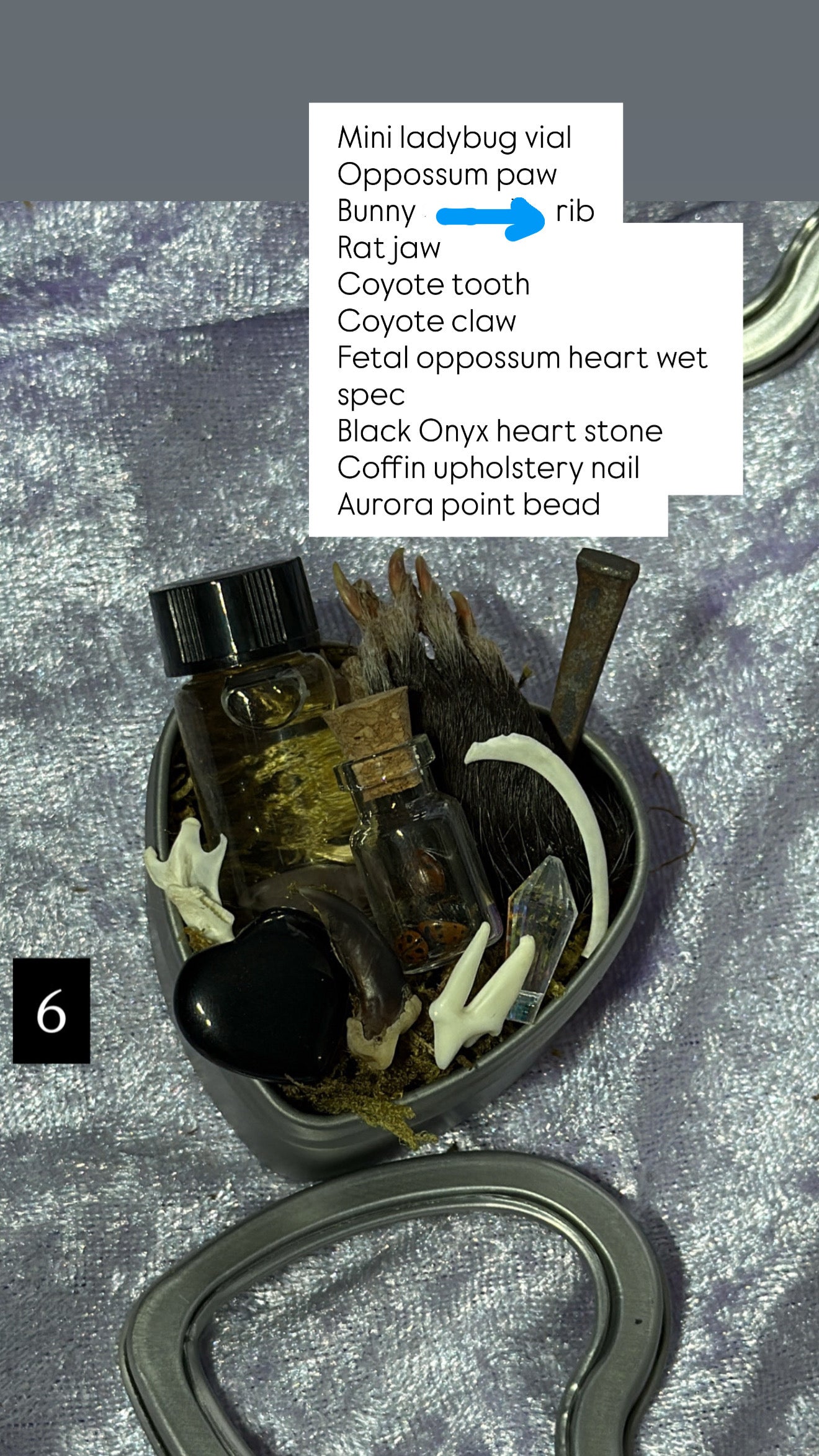 Valentines Collection MINI ODDITY HEART TIN, some w/ WET SPECIMEN