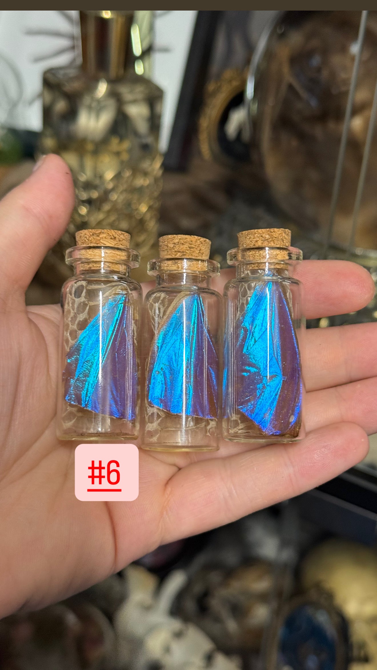 #38 Butterfly/Moth/ Mushroom/ Snake Shed Trinkets