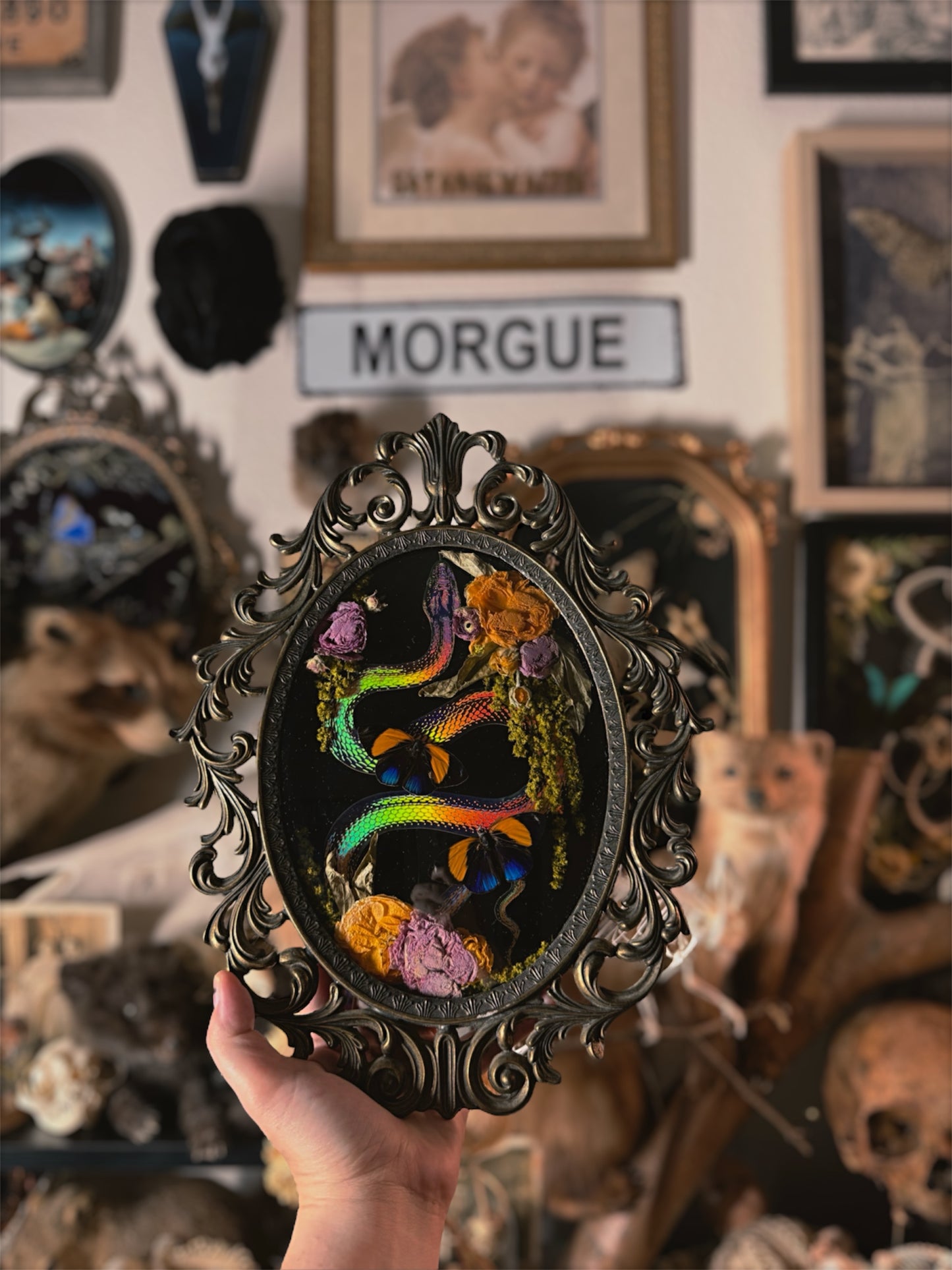 #8 Faux holographic snake & Real butterflies 10x13