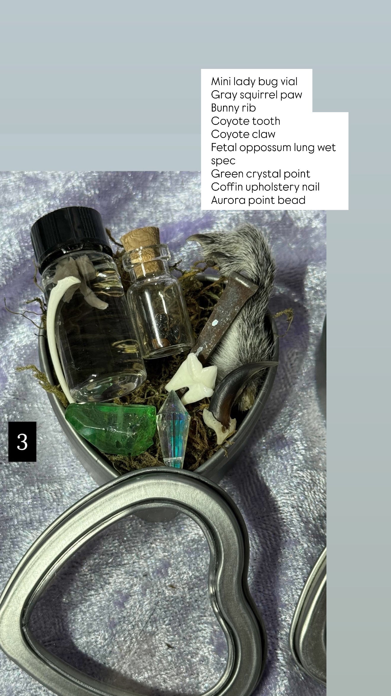 Valentines Collection MINI ODDITY HEART TIN, some w/ WET SPECIMEN