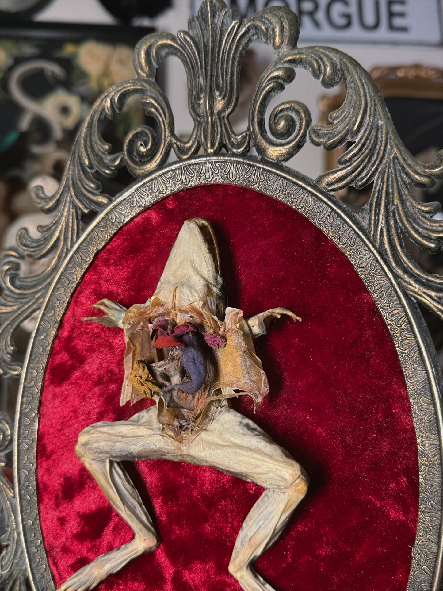 #3 Dissected Frog 10x13