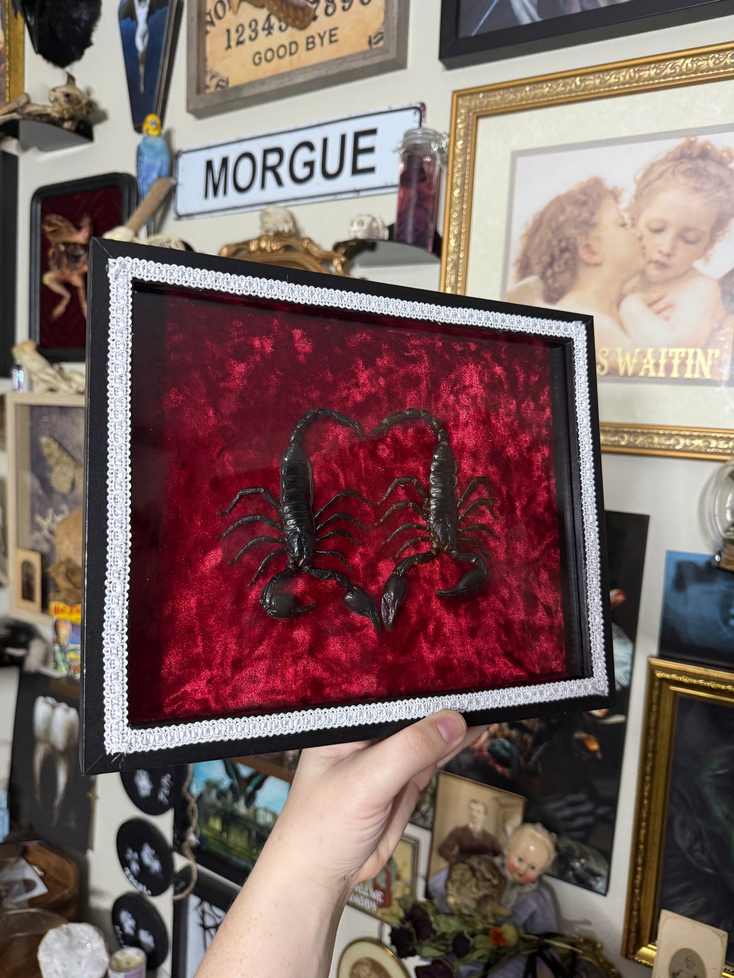 Valentines Collection