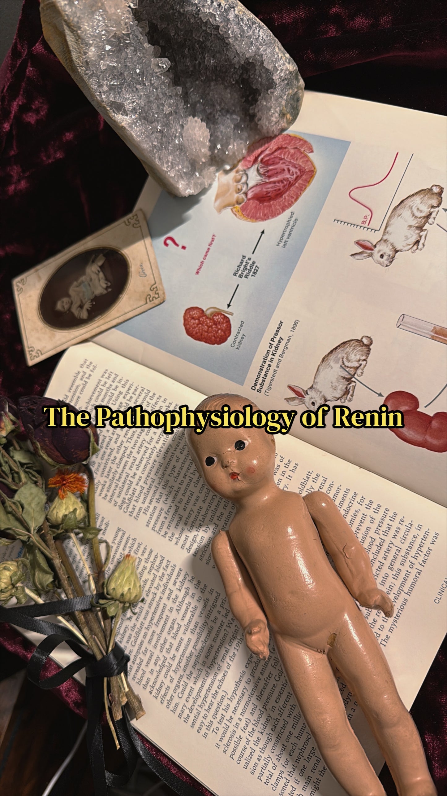 #85 ONE LEFT! 1970s Vintage Clinical Symposia books (set option)