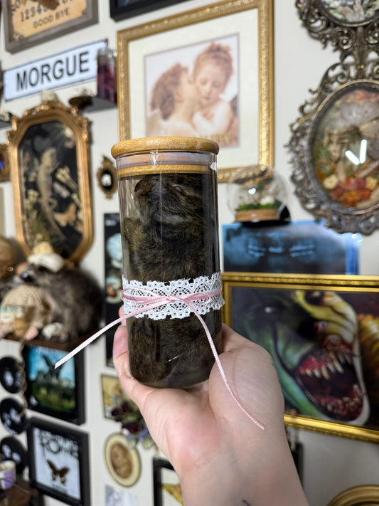 Valentines Collection Cottontail (Read Description!) if you want a bow but it’s sold out just dm