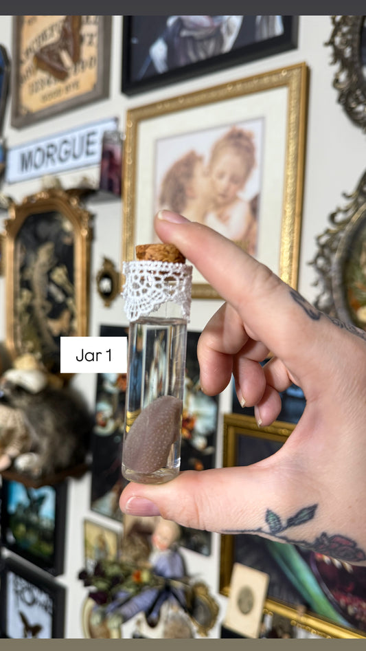 Valentines Collection Hedgehogs (Read Description!)