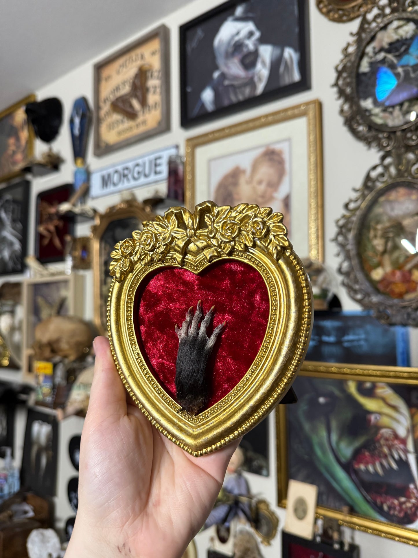 Valentines Collection Opossum