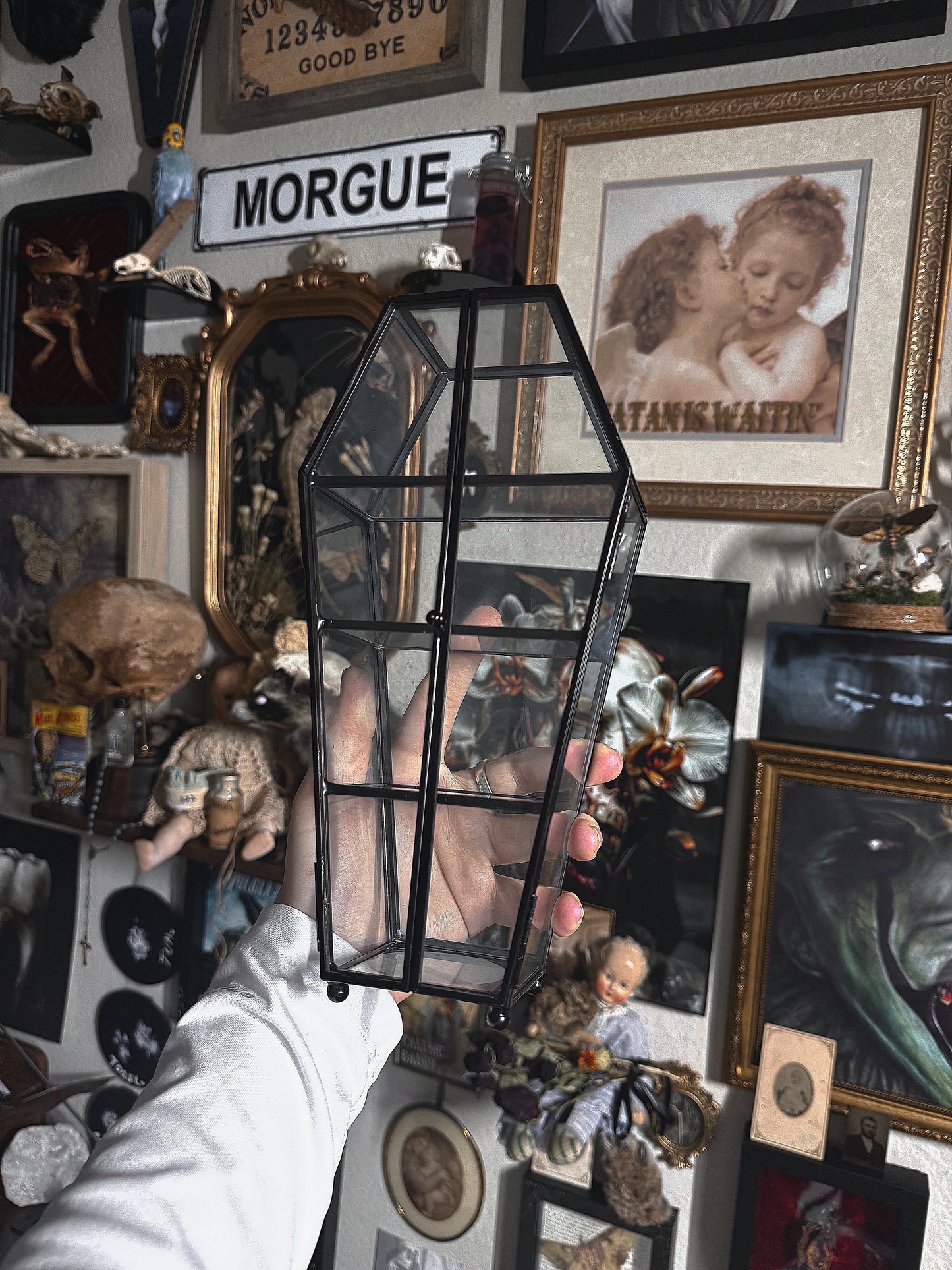 TRINKET SHELF GLASS COFFIN SHELVES