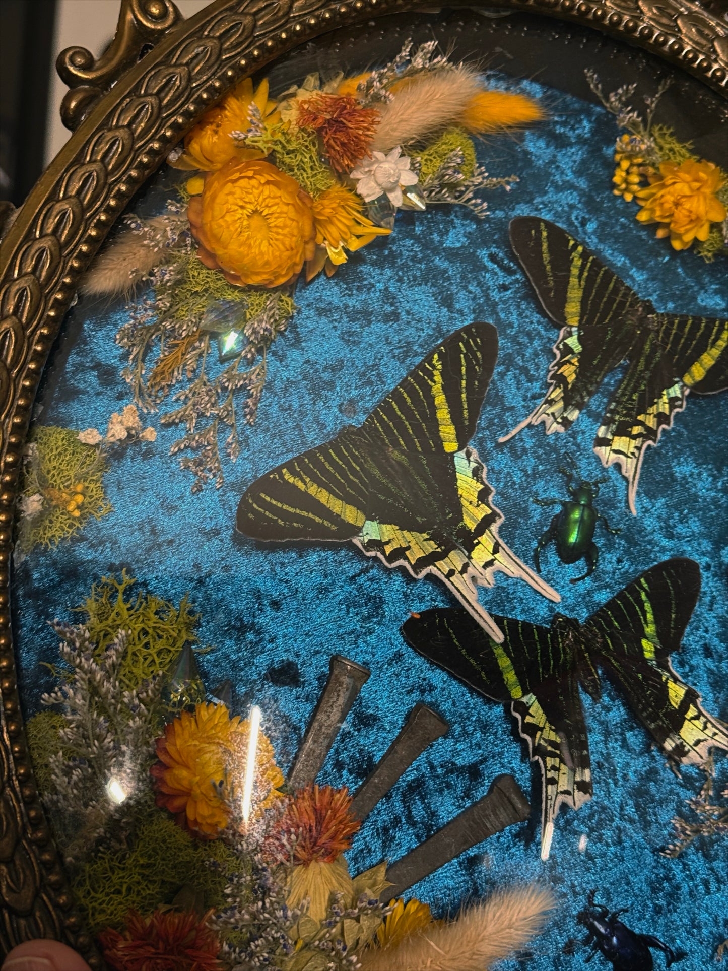 #63 huge 11x17 vintage frame with coffin nails