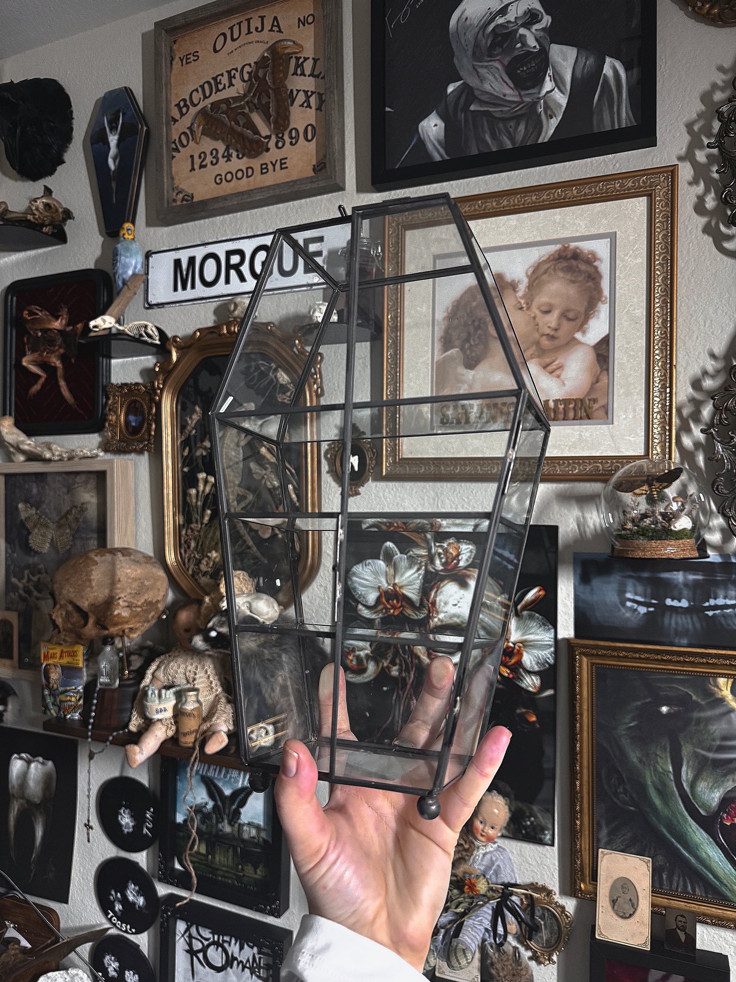 TRINKET SHELF GLASS COFFIN SHELVES