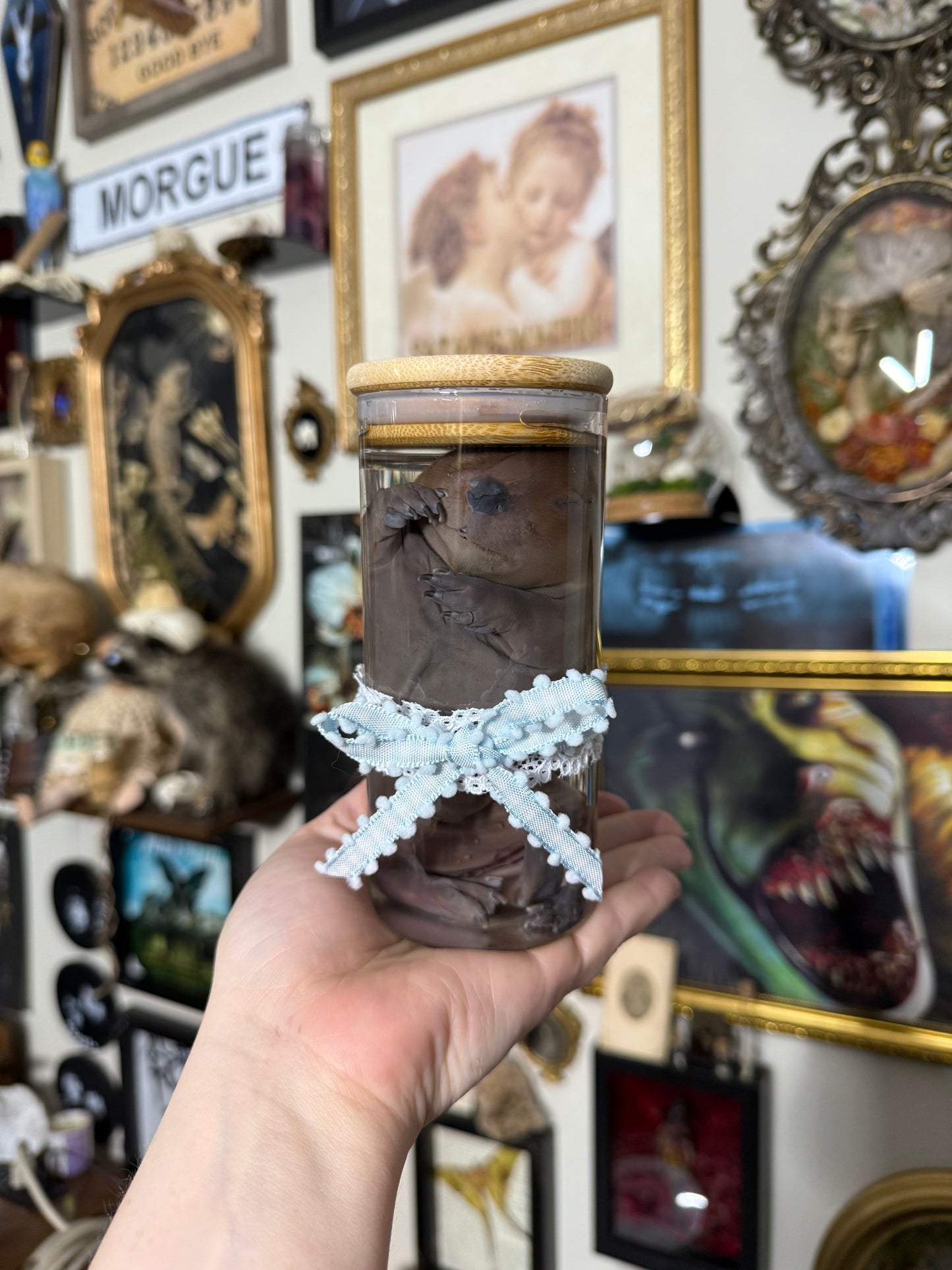 Valentines Collection Baby Beavers (Read Description!) if you want a bow but it’s sold out just dm