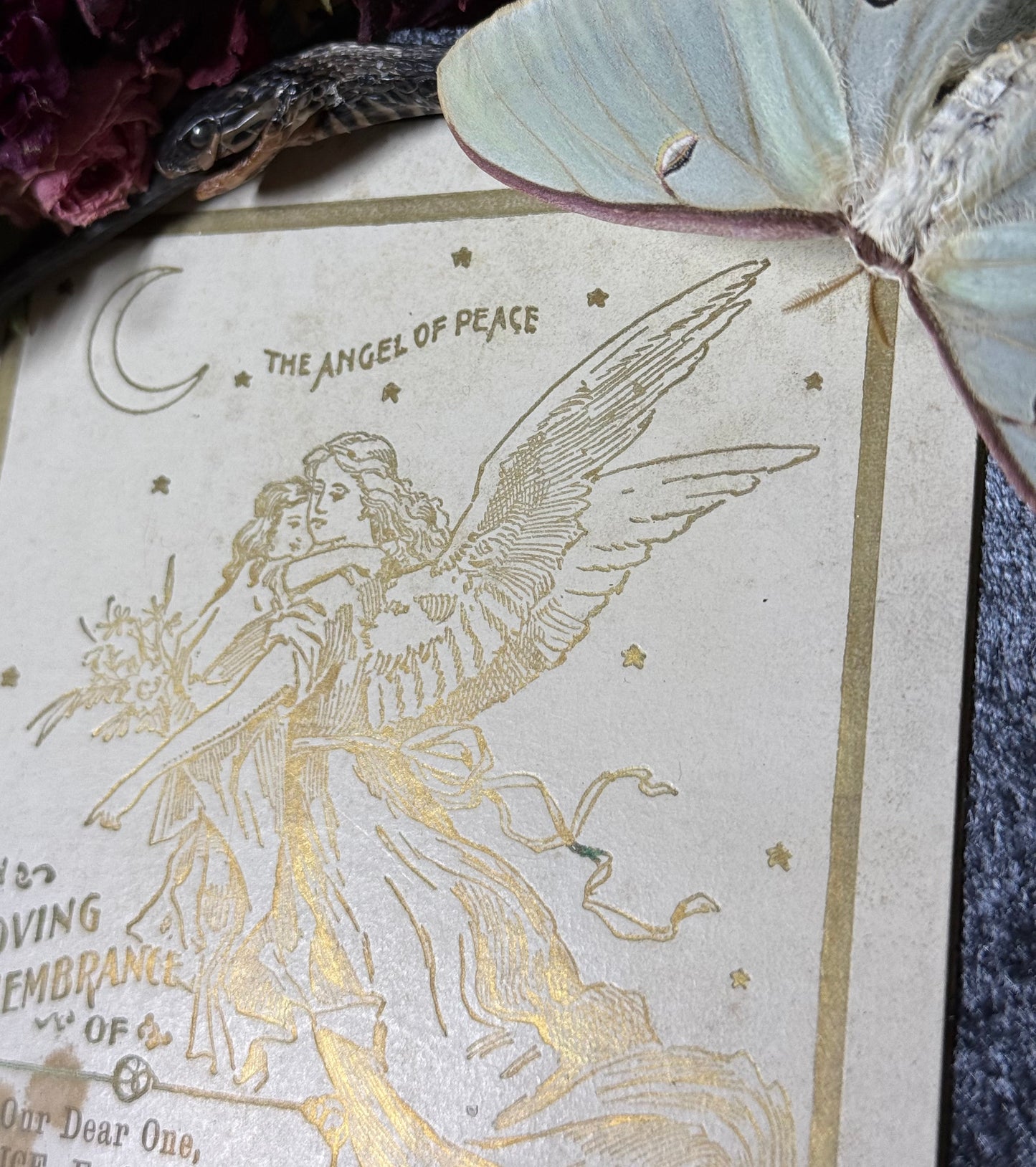 #10 Mummified Ouroboros snake & Vintage Mourning card 12x15