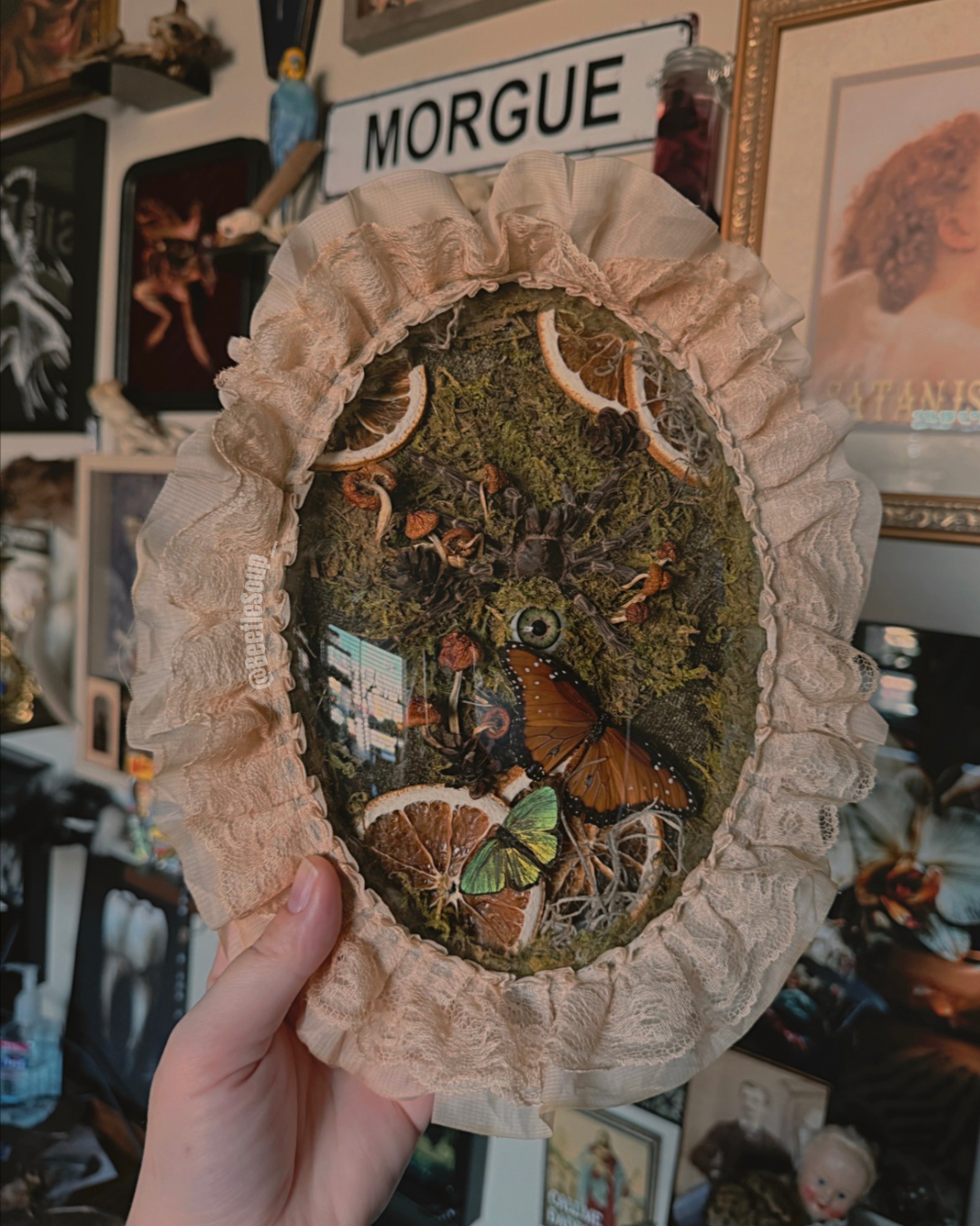 Valentines Collection Eyeball Tarantula