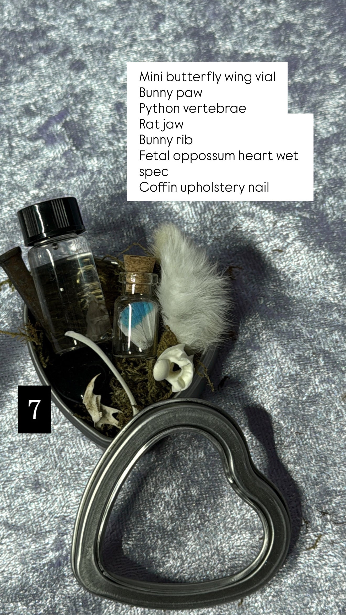 Valentines Collection MINI ODDITY HEART TIN, some w/ WET SPECIMEN