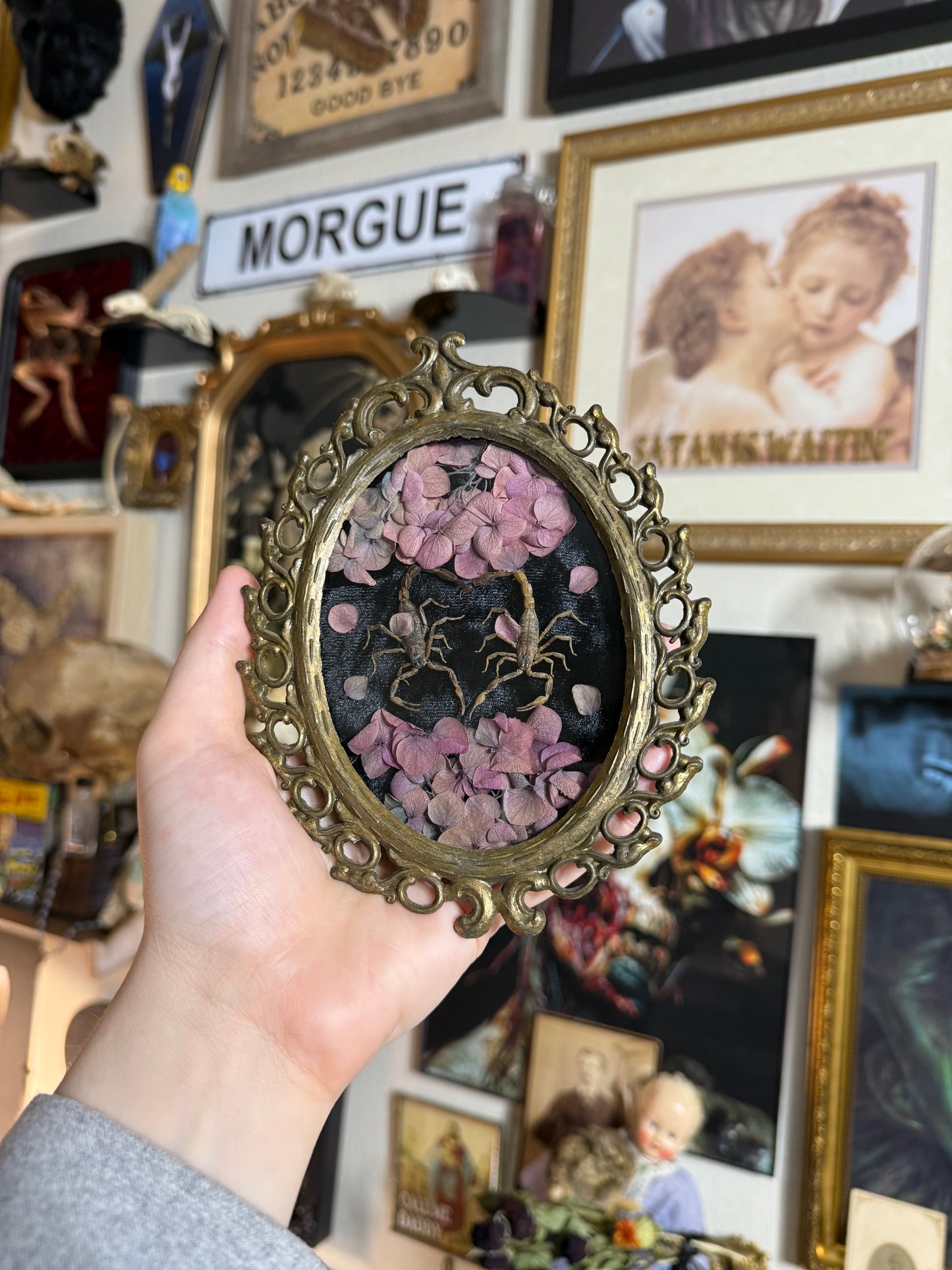 Valentines Collection Mini Scorpion Heart