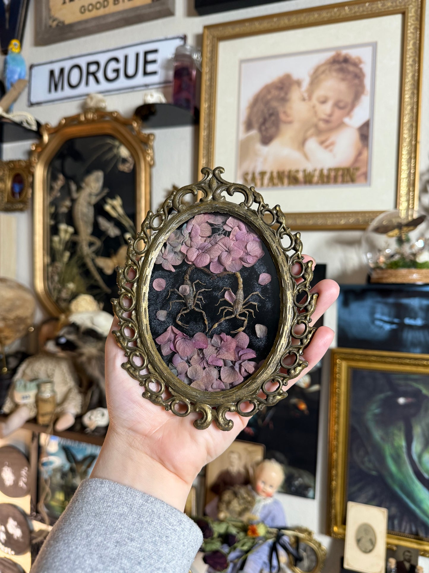 Valentines Collection Mini Scorpion Heart