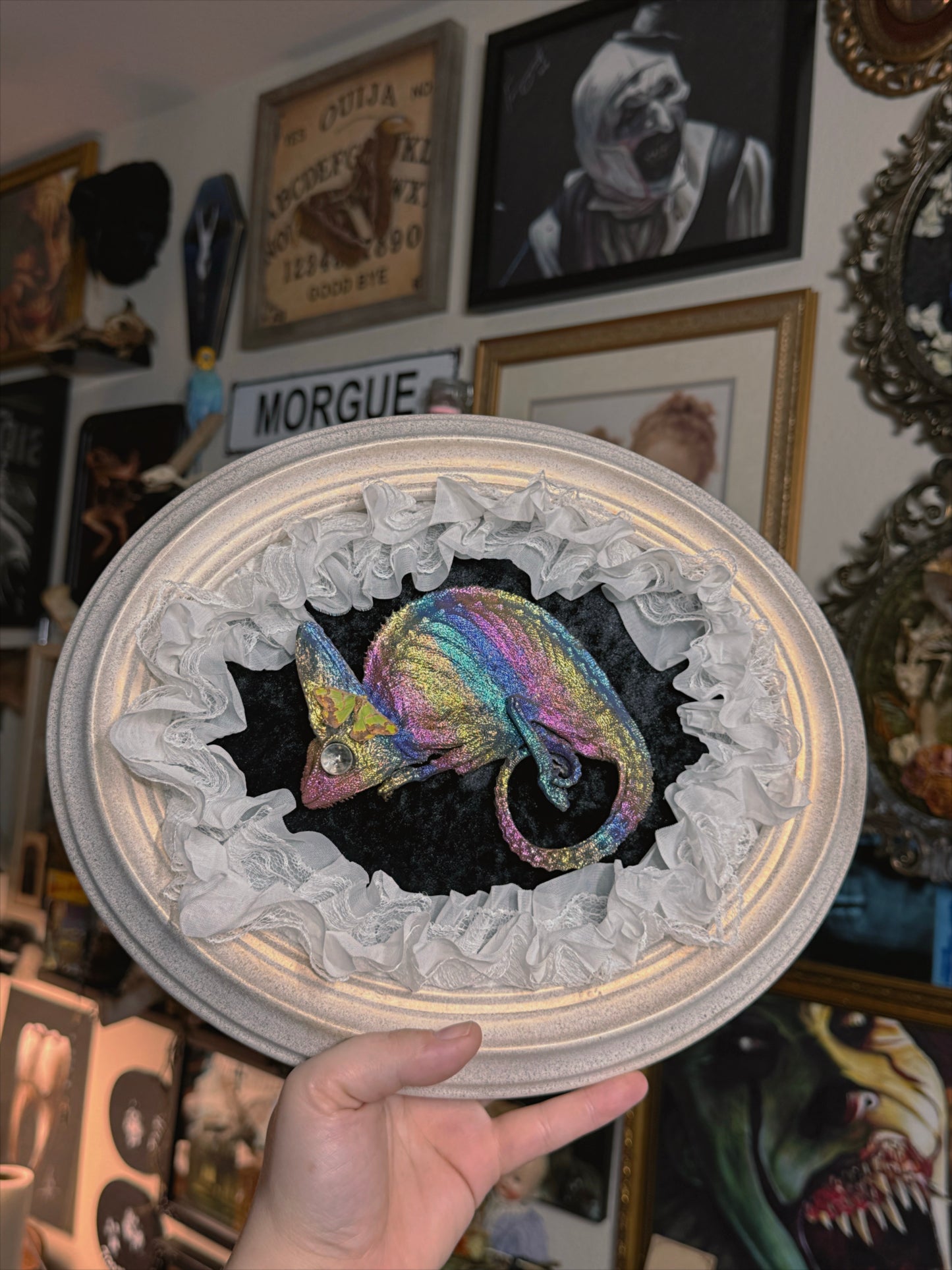 Valentines Collection Rainbow Chameleon