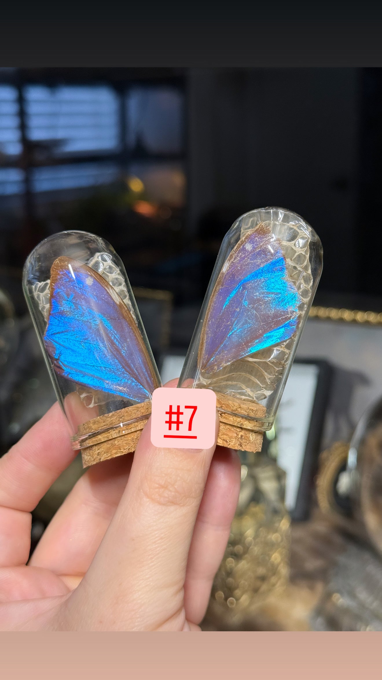 #38 Butterfly/Moth/ Mushroom/ Snake Shed Trinkets