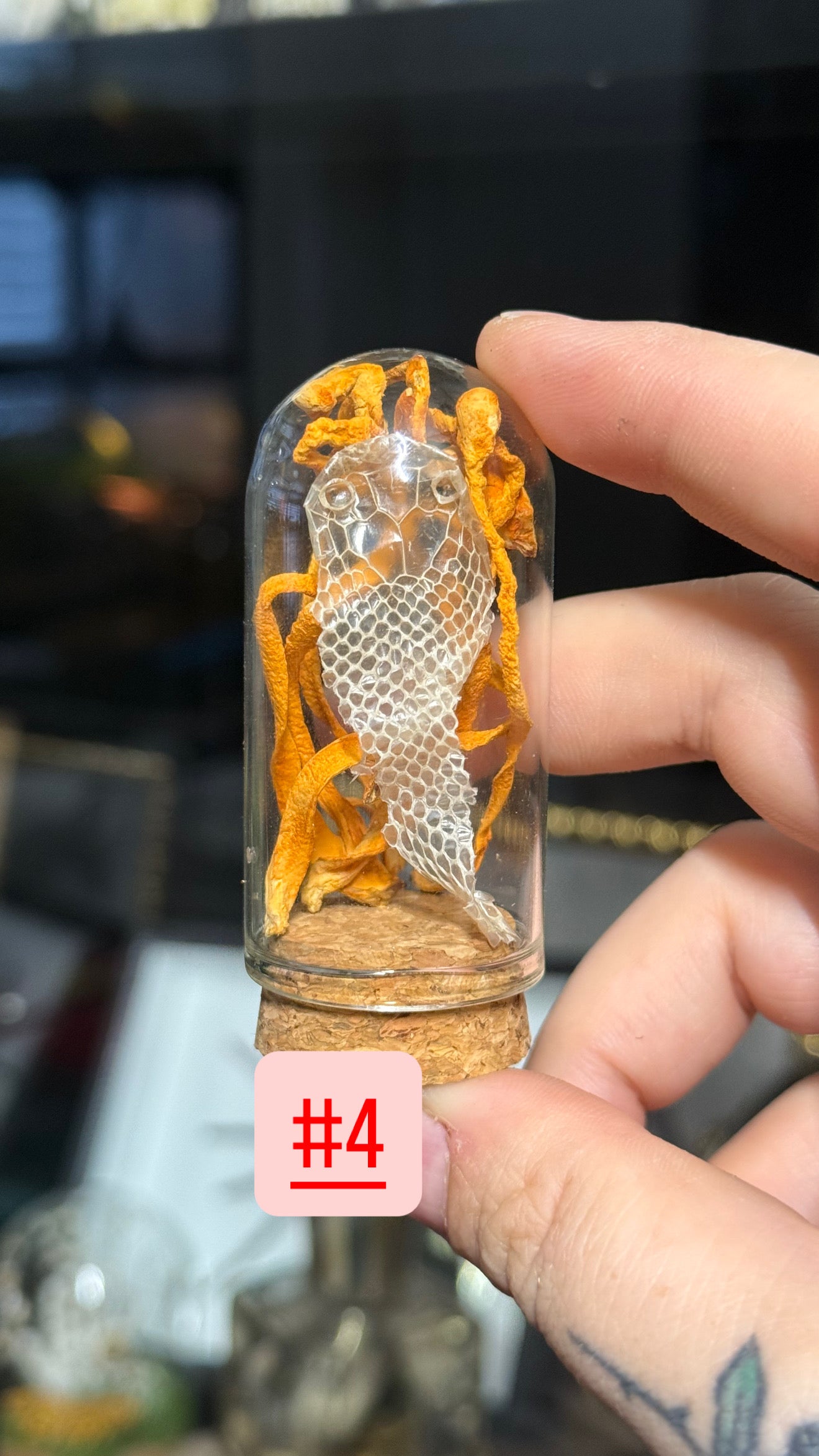 #38 Butterfly/Moth/ Mushroom/ Snake Shed Trinkets