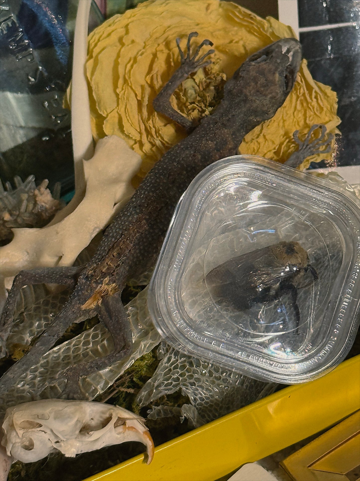 #60 DELUX MYSTERY CIGAR BOX - NO FILLERS / NO JUNK!